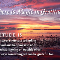 Magic of Gratitude!